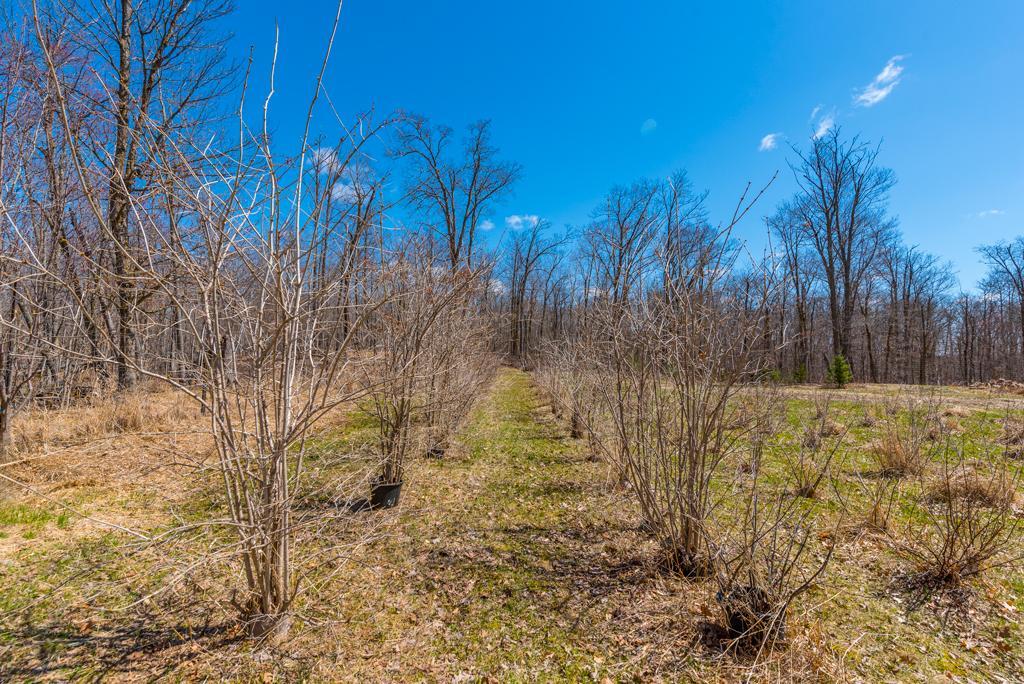 27290 Town Line Lake Road Deerwood, MN 56444 - Photo 29 of 57