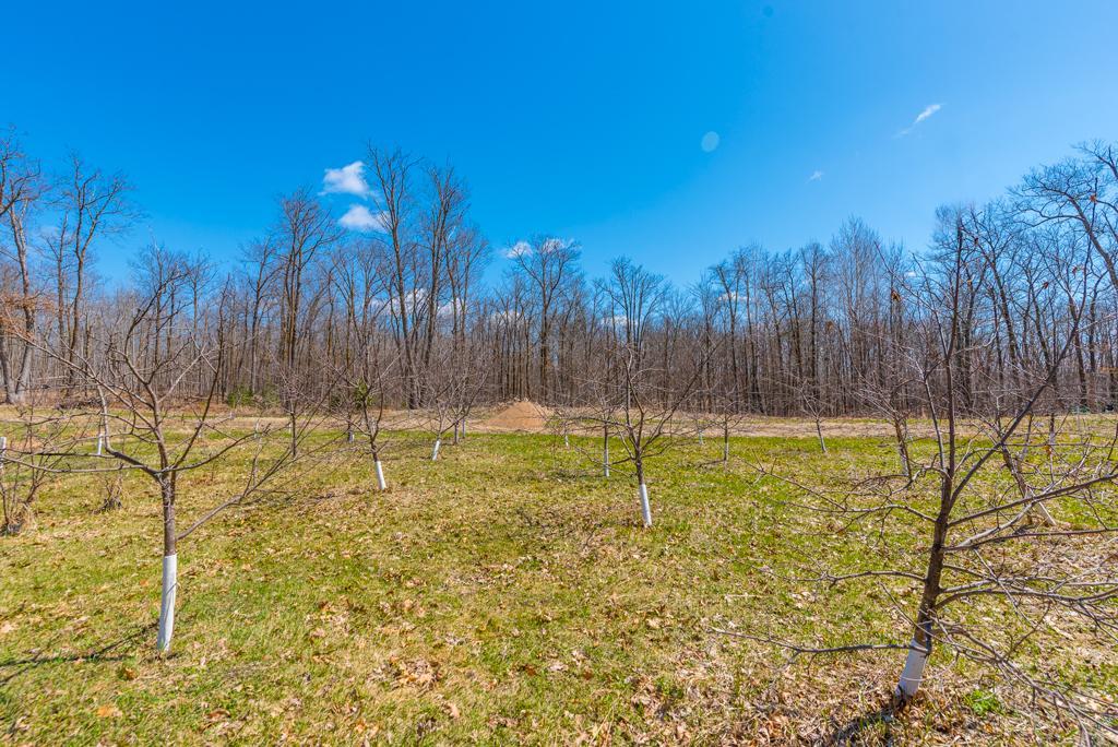 27290 Town Line Lake Road Deerwood, MN 56444 - Photo 30 of 57