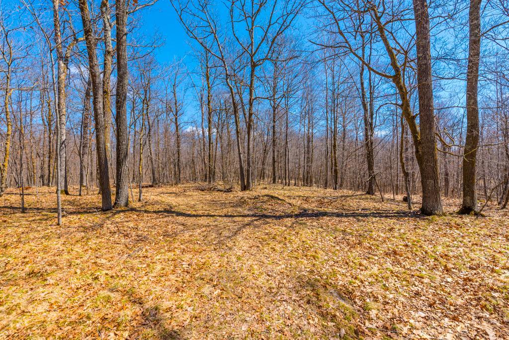27290 Town Line Lake Road Deerwood, MN 56444 - Photo 32 of 57