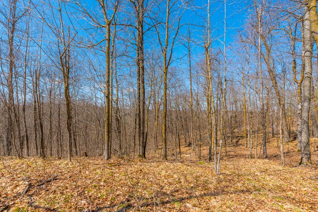 27290 Town Line Lake Road Deerwood, MN 56444 - Photo 33 of 57