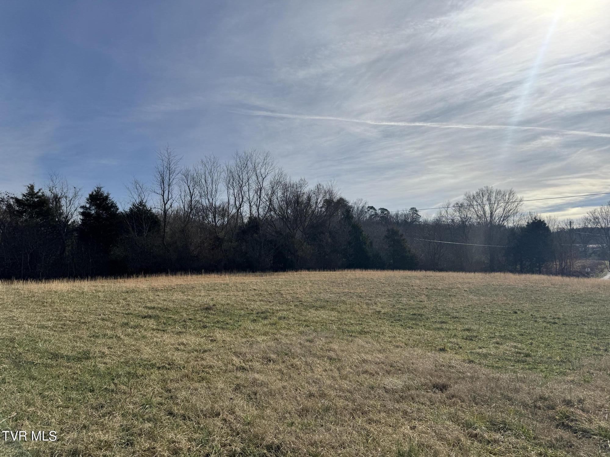 165 Wilkerson Road Mosheim, TN 37818 - Photo 11 of 20 IMG_2708