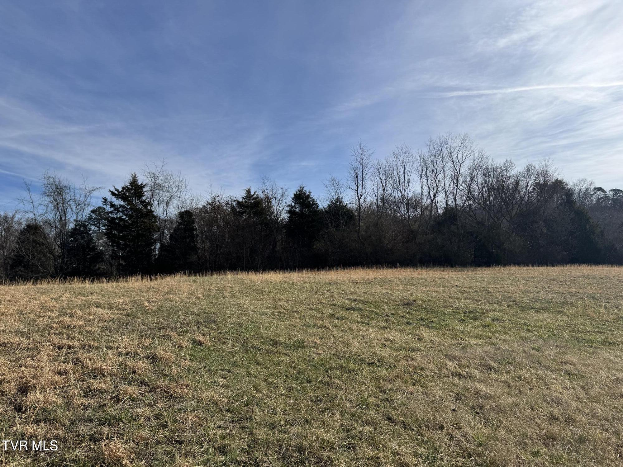 165 Wilkerson Road Mosheim, TN 37818 - Photo 12 of 20 IMG_2707