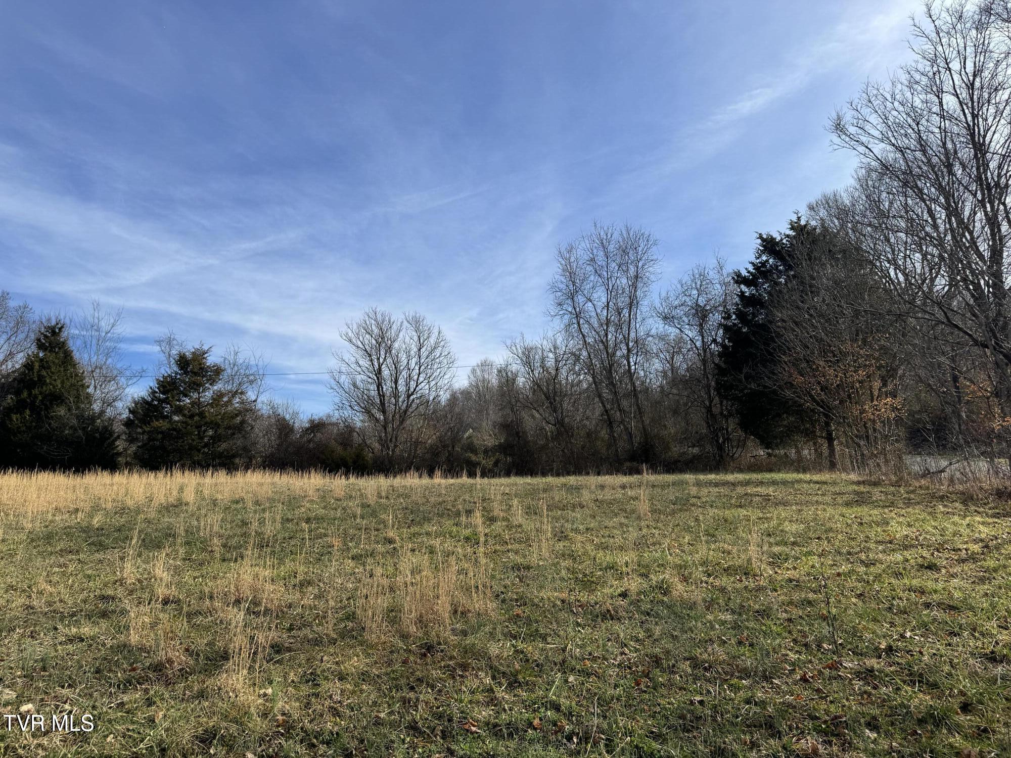 165 Wilkerson Road Mosheim, TN 37818 - Photo 18 of 20 IMG_2701