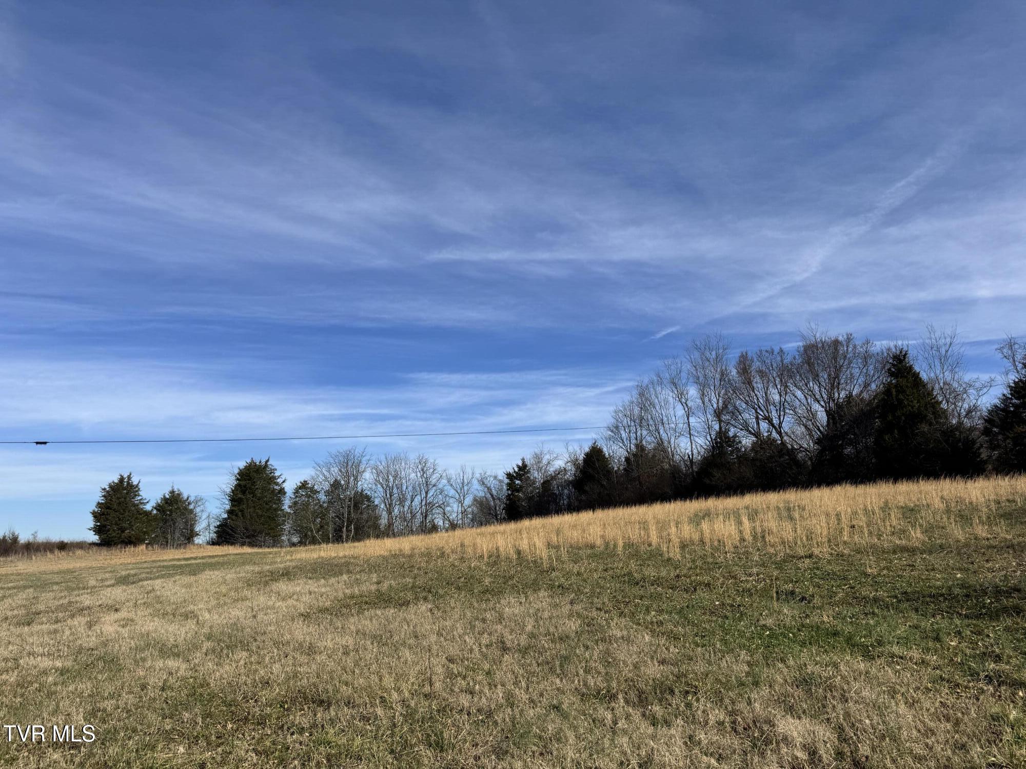 165 Wilkerson Road Mosheim, TN 37818 - Photo 19 of 20 IMG_2700