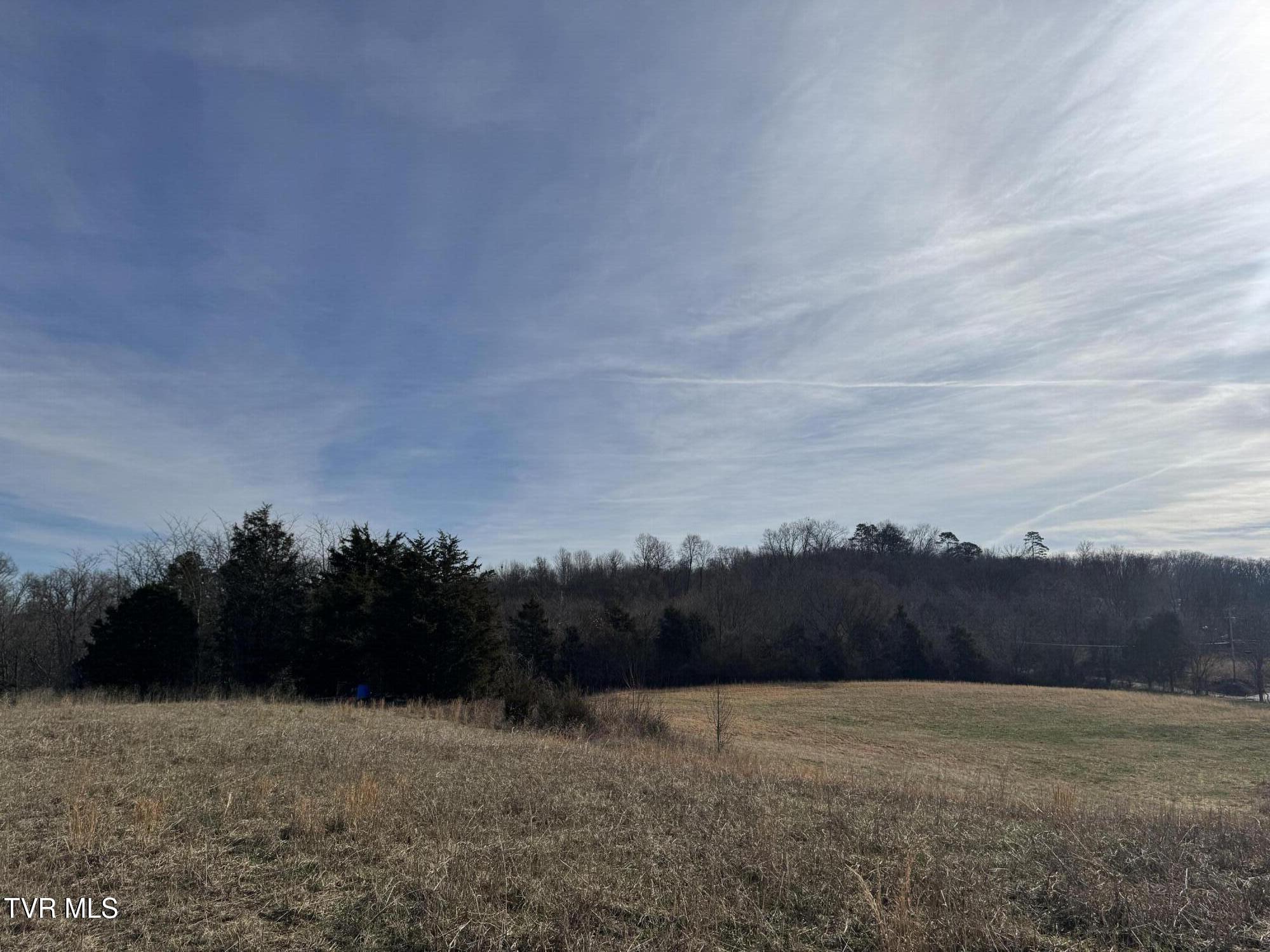 165 Wilkerson Road Mosheim, TN 37818 - Photo 3 of 20 IMG_2718