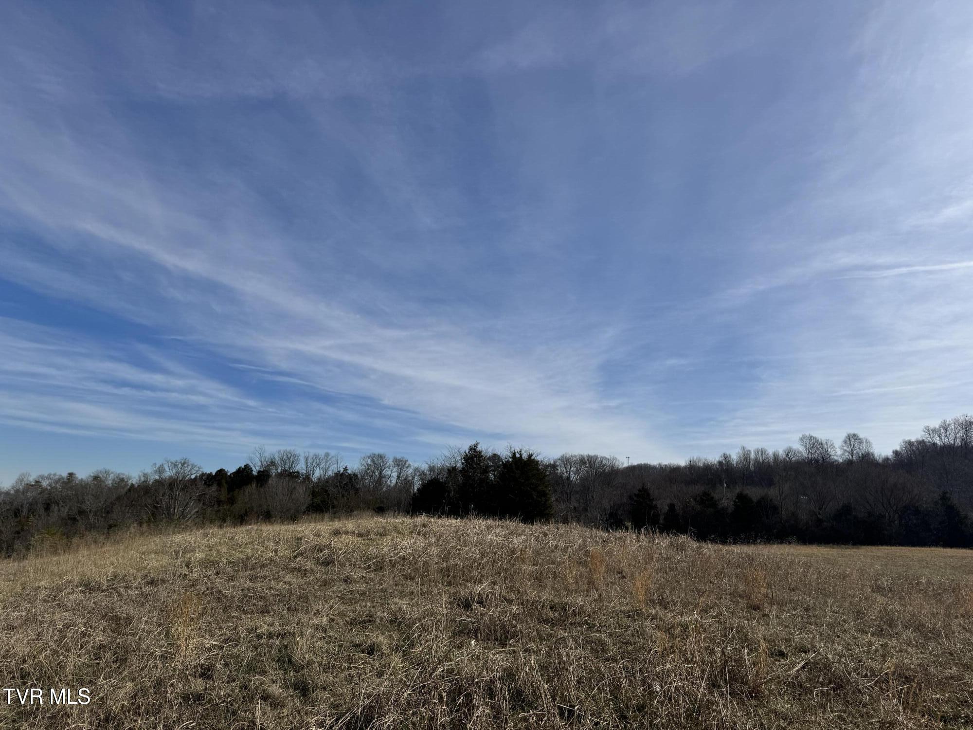 165 Wilkerson Road Mosheim, TN 37818 - Photo 4 of 20 IMG_2717
