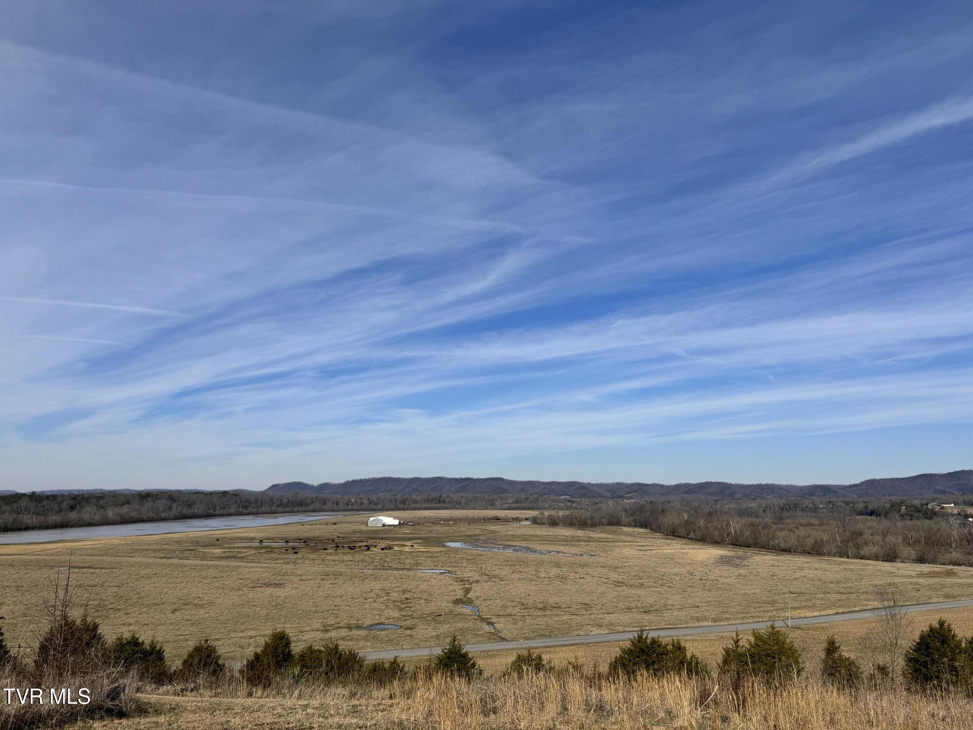 165 Wilkerson Road Mosheim, TN 37818 - Photo 6 of 20 IMG_2714