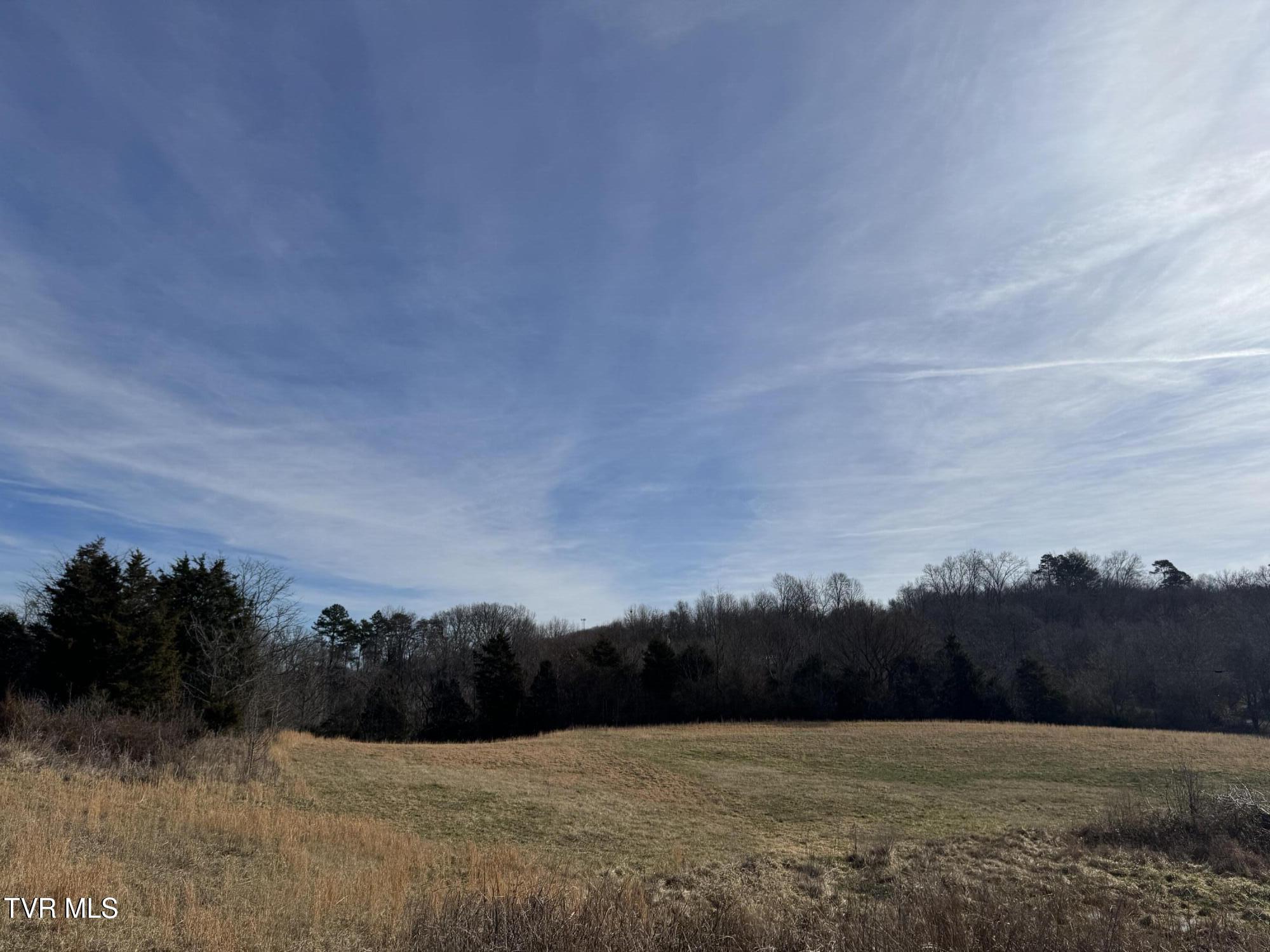 165 Wilkerson Road Mosheim, TN 37818 - Photo 8 of 20 IMG_2711