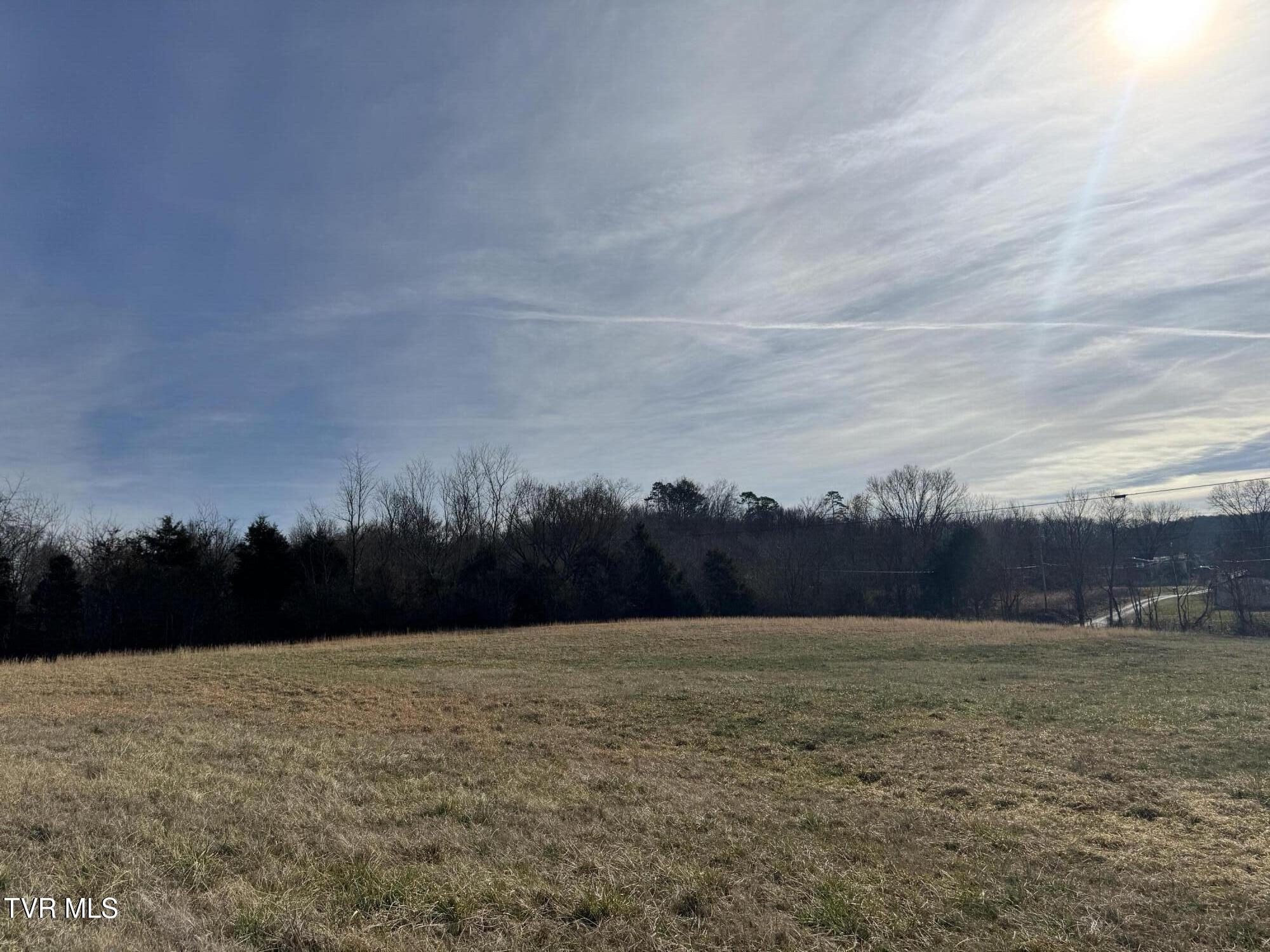 165 Wilkerson Road Mosheim, TN 37818 - Photo 9 of 20 IMG_2710