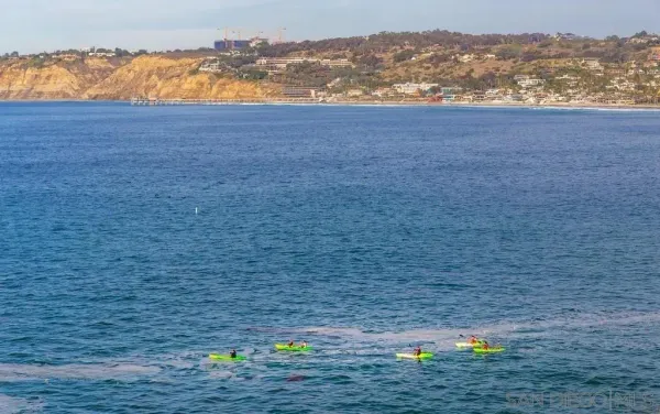 $32,500 | 1245 Coast La, La Jolla, CA 92037