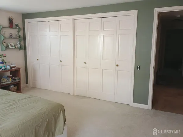 a bedroom with a bed and a closet