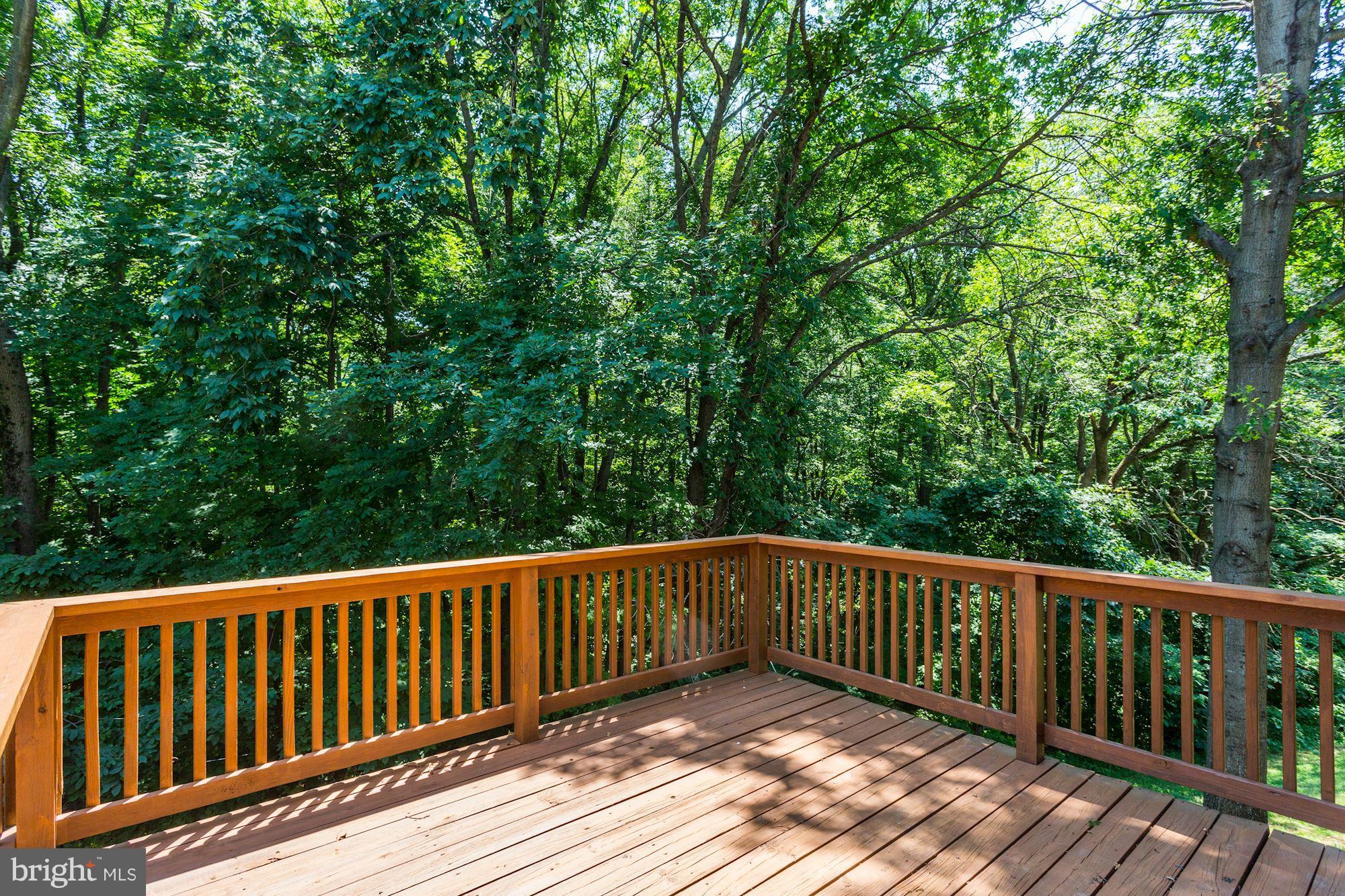 6408 Wind Rider Way Columbia, MD 21045 - Photo 27 of 29 Deck
