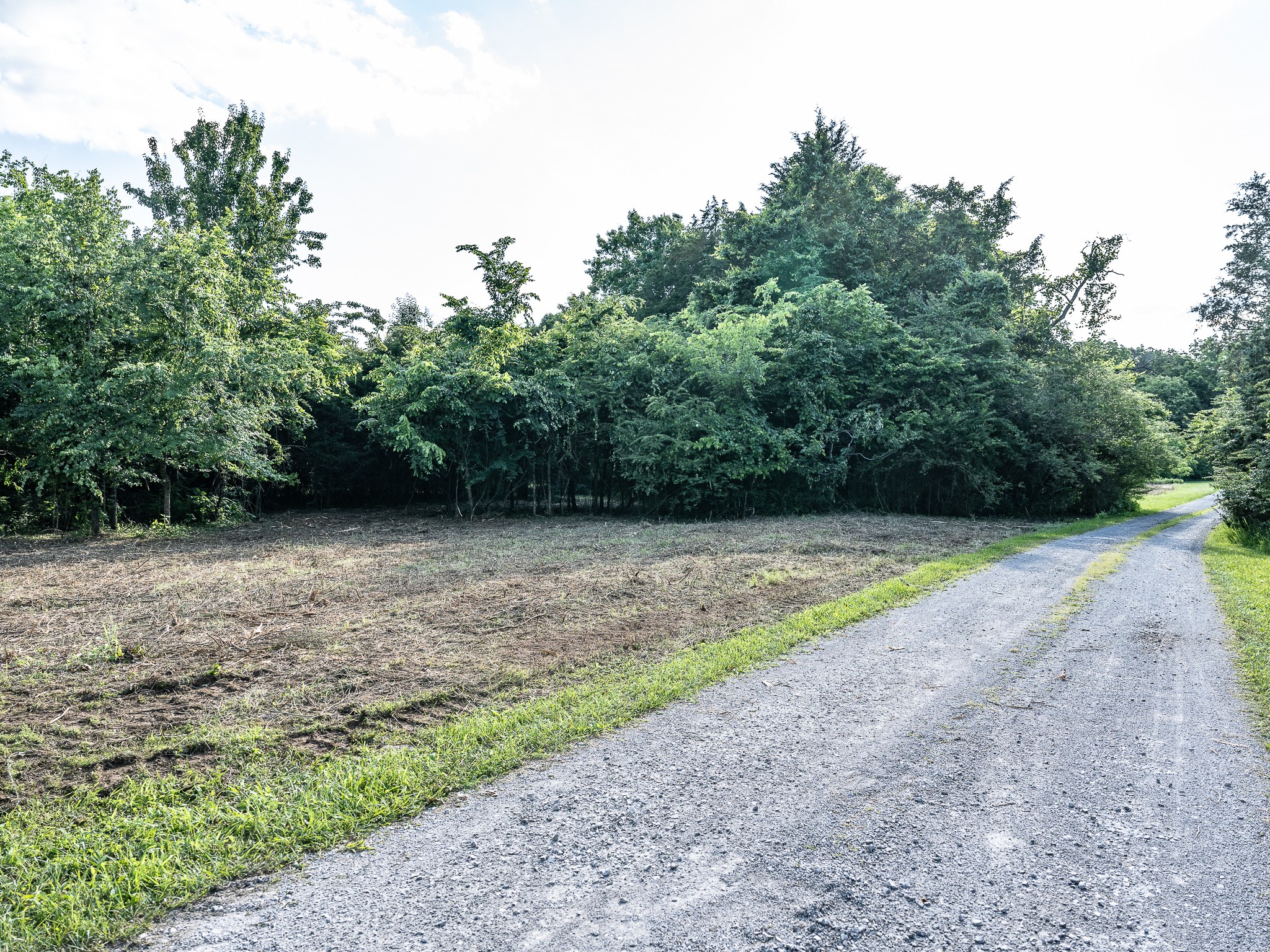 4850 Lunns Store Road Chapel Hill, TN 37034 - Photo 2 of 11 Gallery Image 2