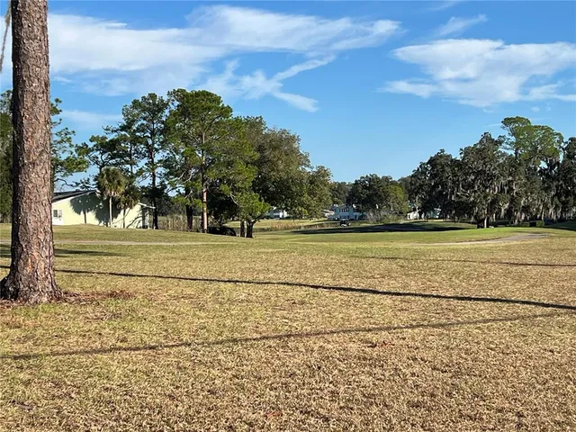 a view of a yard and tree