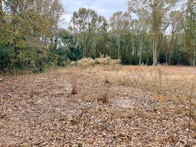 $36,000 | 0 Hedge Road, Aiken, SC 29801