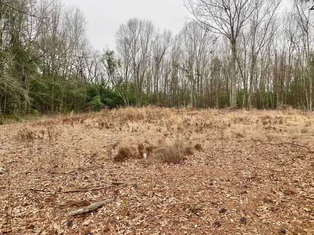 $36,000 | 0 Hedge Road, Aiken, SC 29801