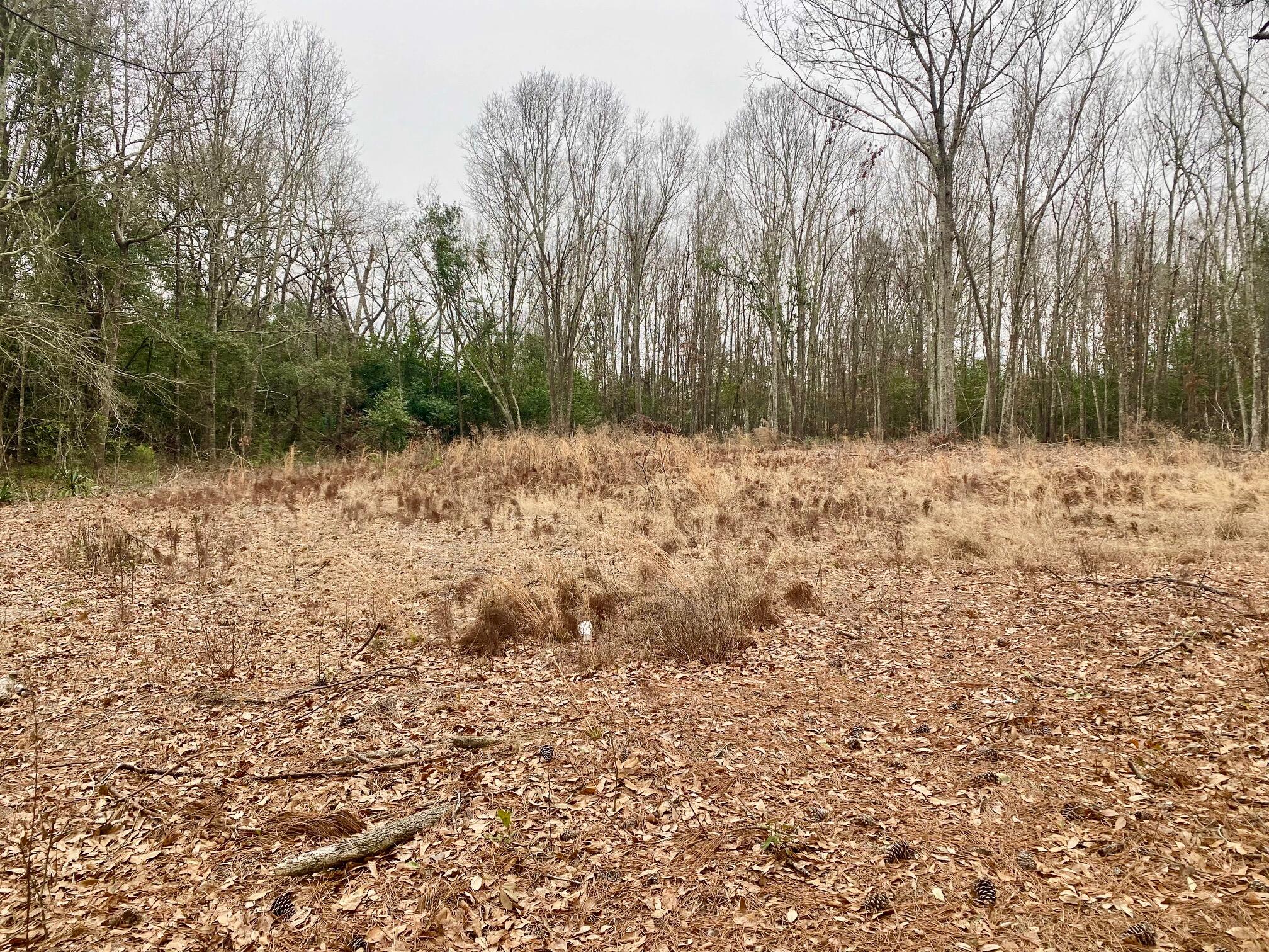 0 Hedge Road Aiken, SC 29801 - Photo 3 of 6 IMG_2465