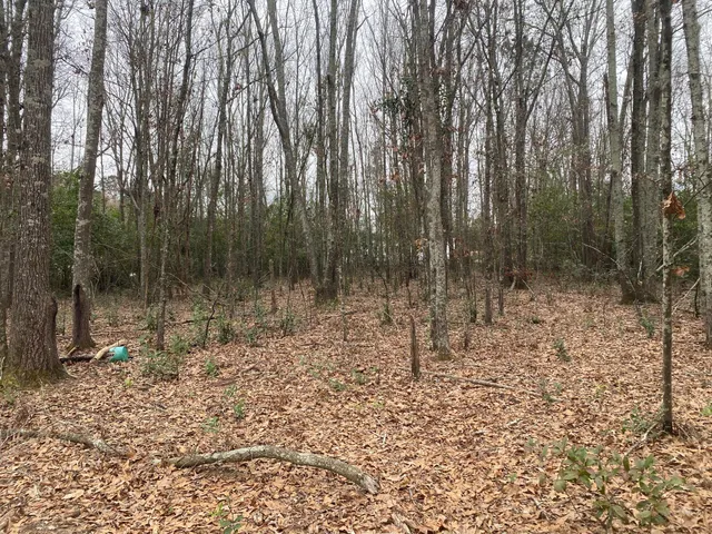 $36,000 | 0 Hedge Road, Aiken, SC 29801