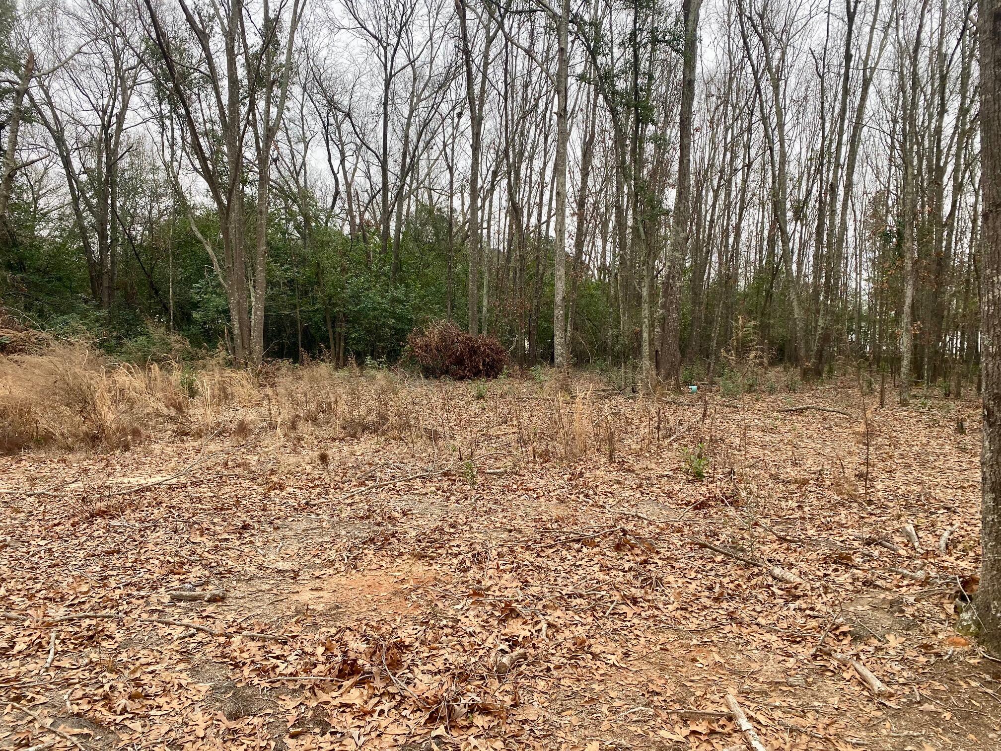 0 Hedge Road Aiken, SC 29801 - Photo 5 of 6 IMG_2473