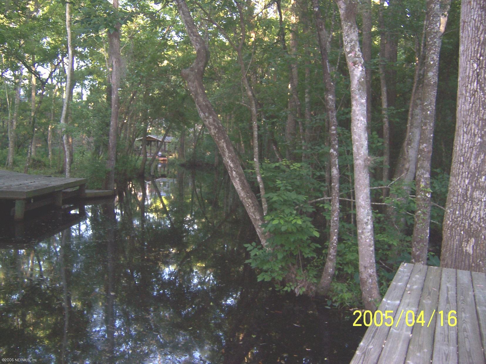 a view of a yard with plants and large trees