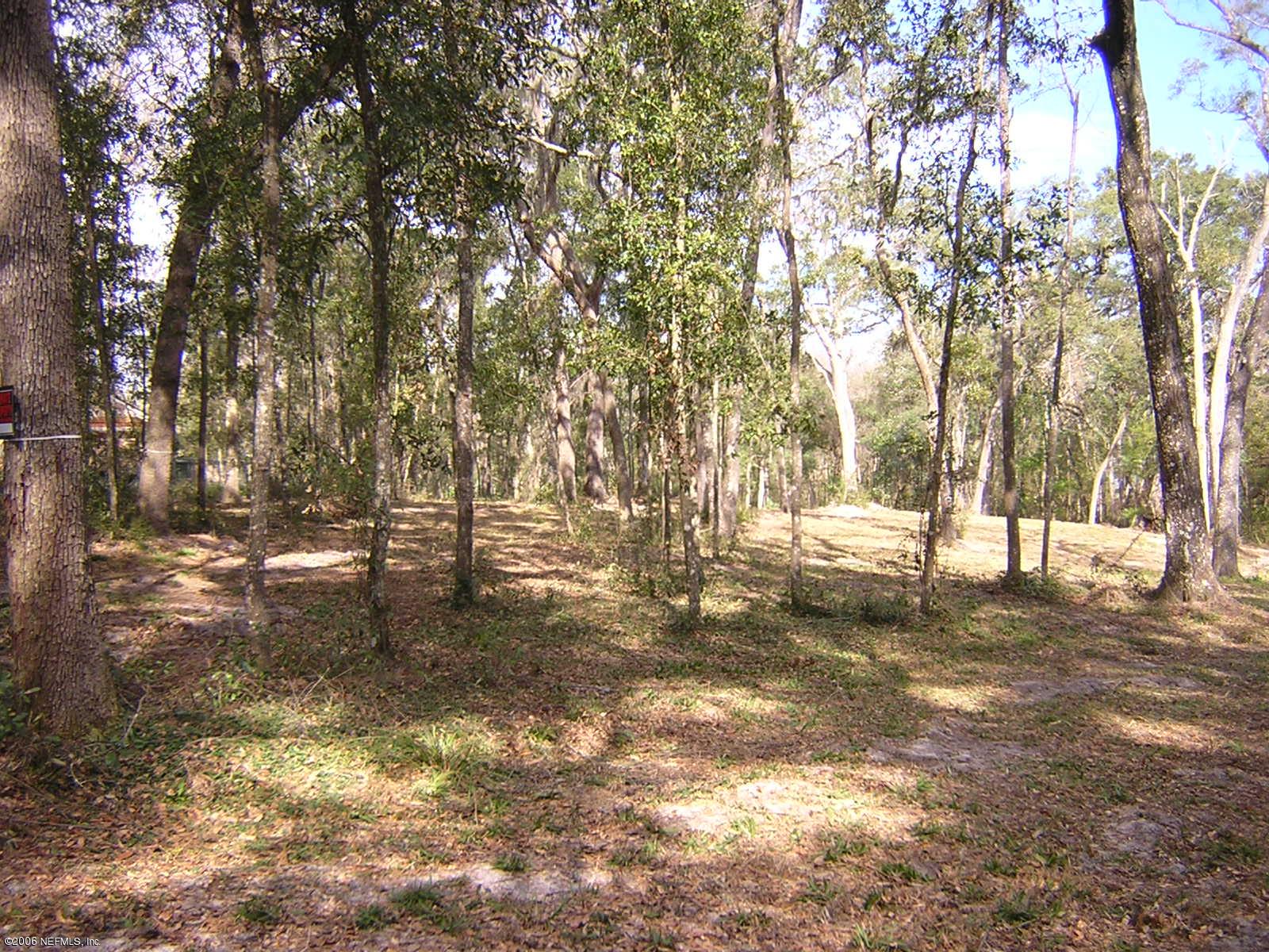 1227 Wedgewood Road St. Johns, FL 32259 - Photo 4 of 4 a view of yard with trees