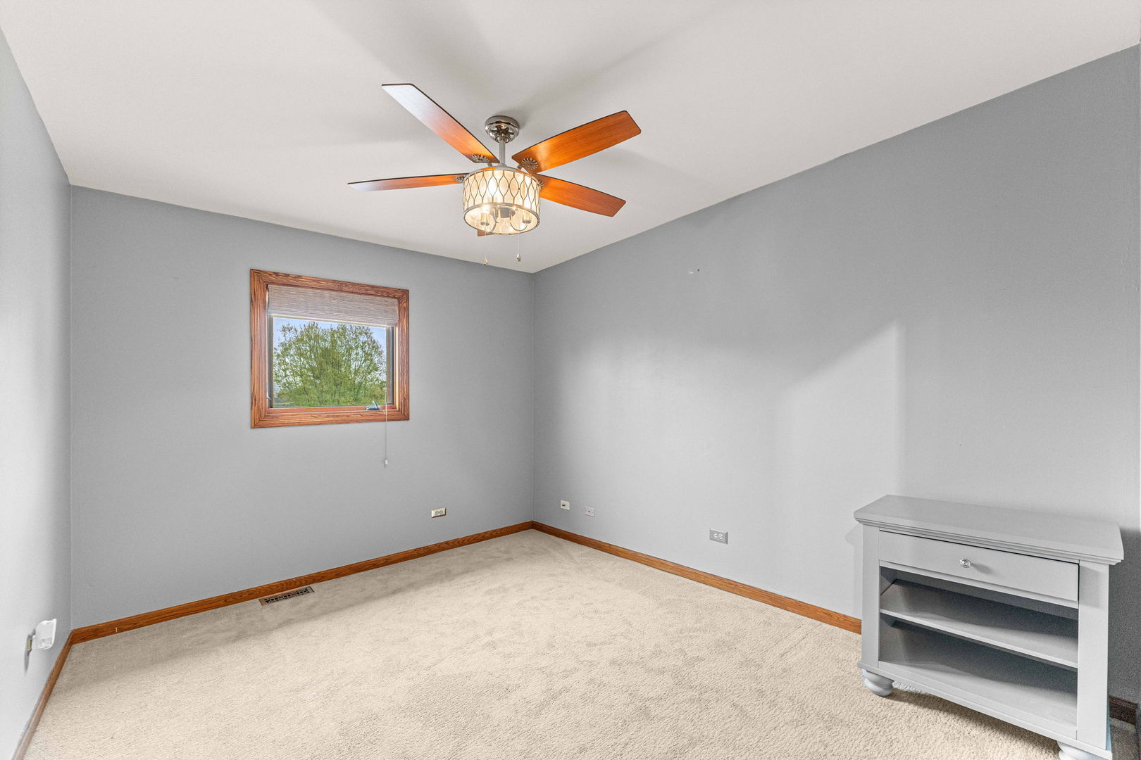 2 Rutgers Court Hawthorn Woods, IL 60047 - Photo 39 of 66
