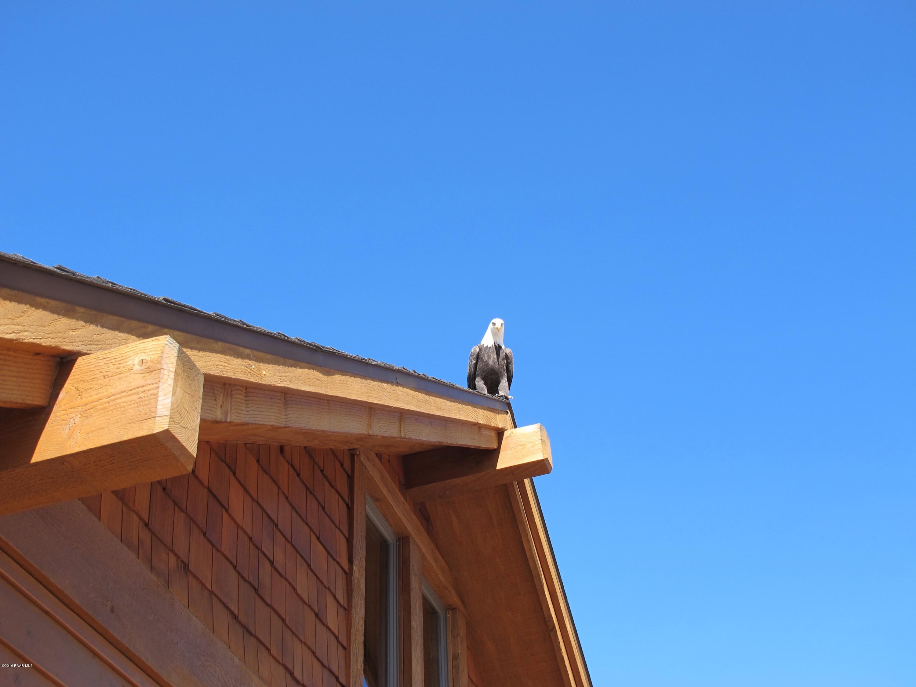 9160 North American Ranch Road Prescott, AZ 86305 - Photo 53 of 59 Eagle (3)
