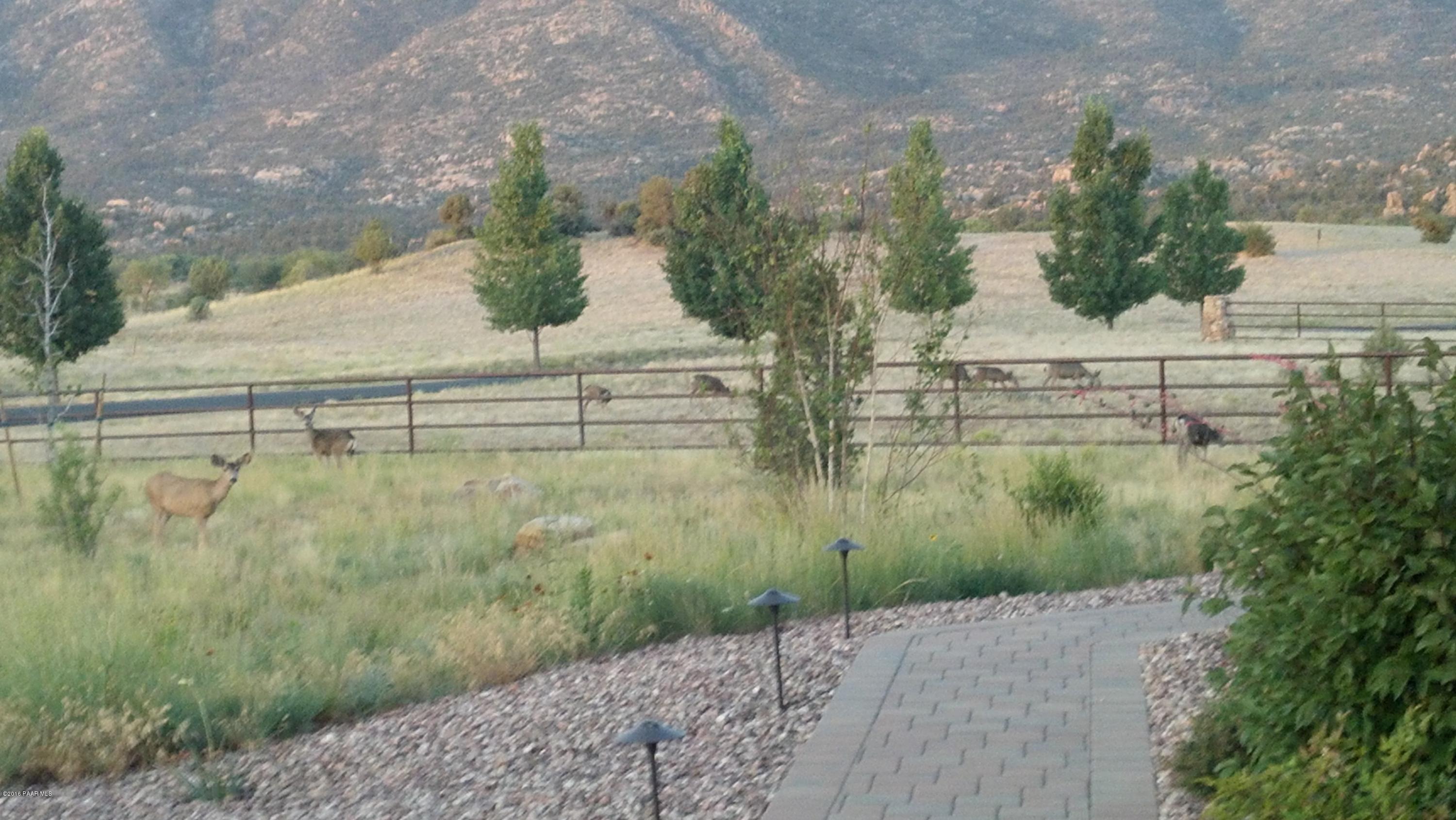 9160 North American Ranch Road Prescott, AZ 86305 - Photo 54 of 59 Pronghorn