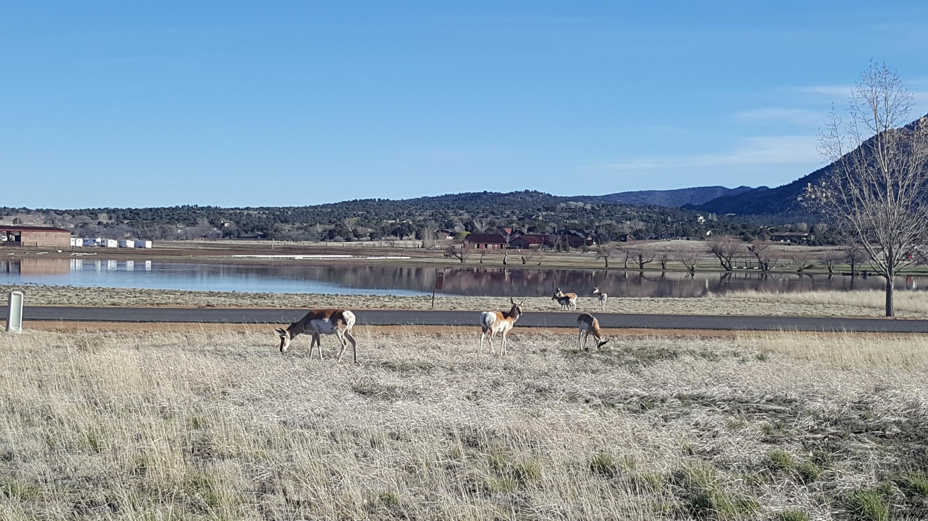 9160 North American Ranch Road Prescott, AZ 86305 - Photo 57 of 59 Antelope grazing