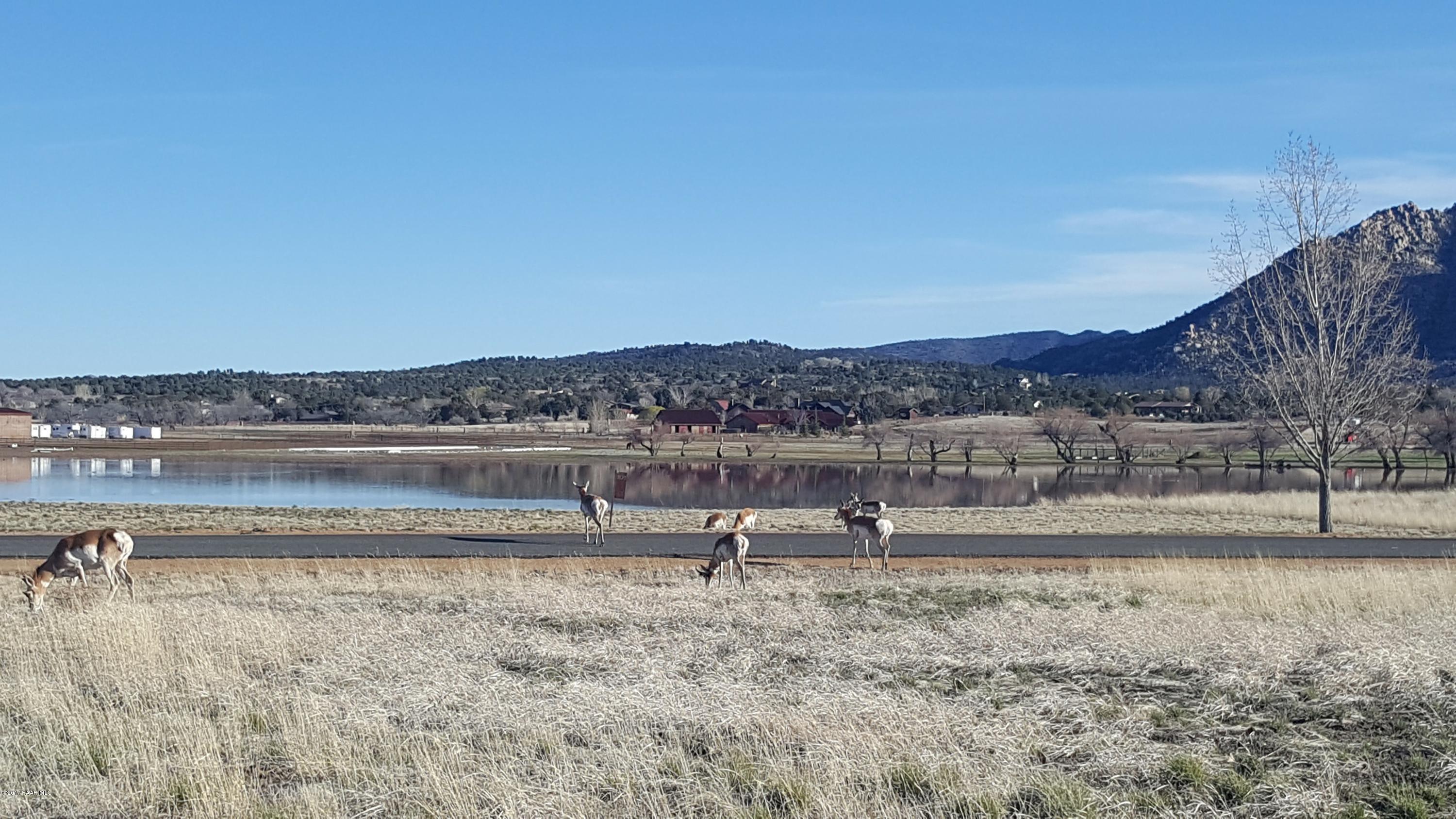 9160 North American Ranch Road Prescott, AZ 86305 - Photo 58 of 59 Antelope coming in for water