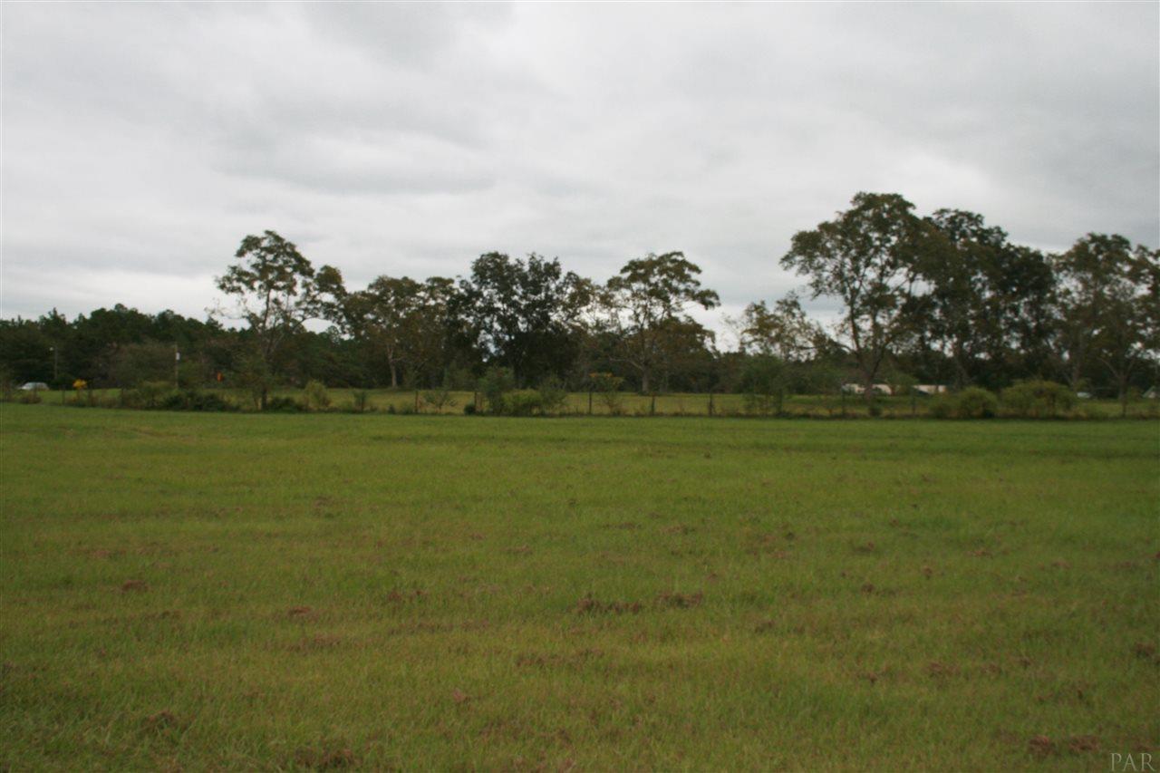 2100 Chavers Road Cantonment, FL 32533 - Photo 7 of 7 Looking from back of property towards the front