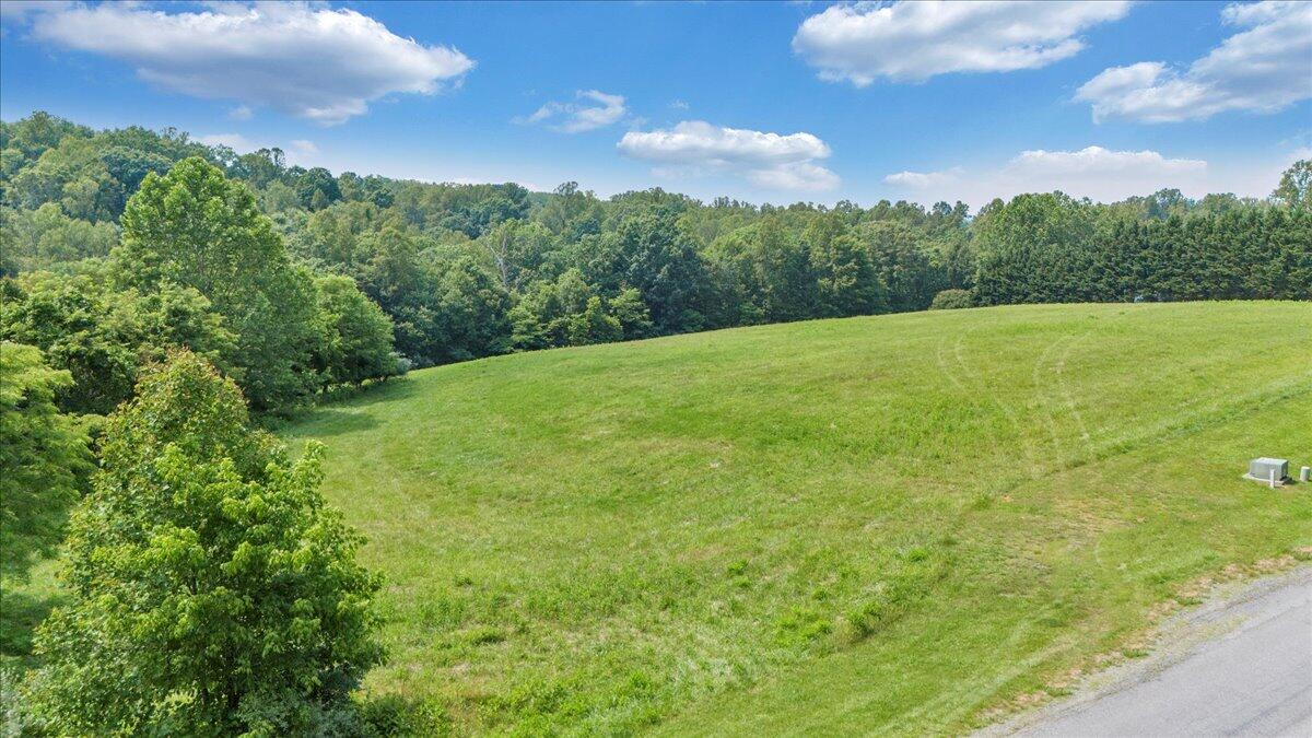 Lot 4-5 Idlewood Road Hardy, VA 24101 - Photo 12 of 65 a view of a green yard
