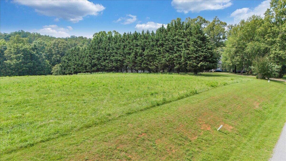 Lot 4-5 Idlewood Road Hardy, VA 24101 - Photo 15 of 65 15-DJI_20250611152840_0301_D