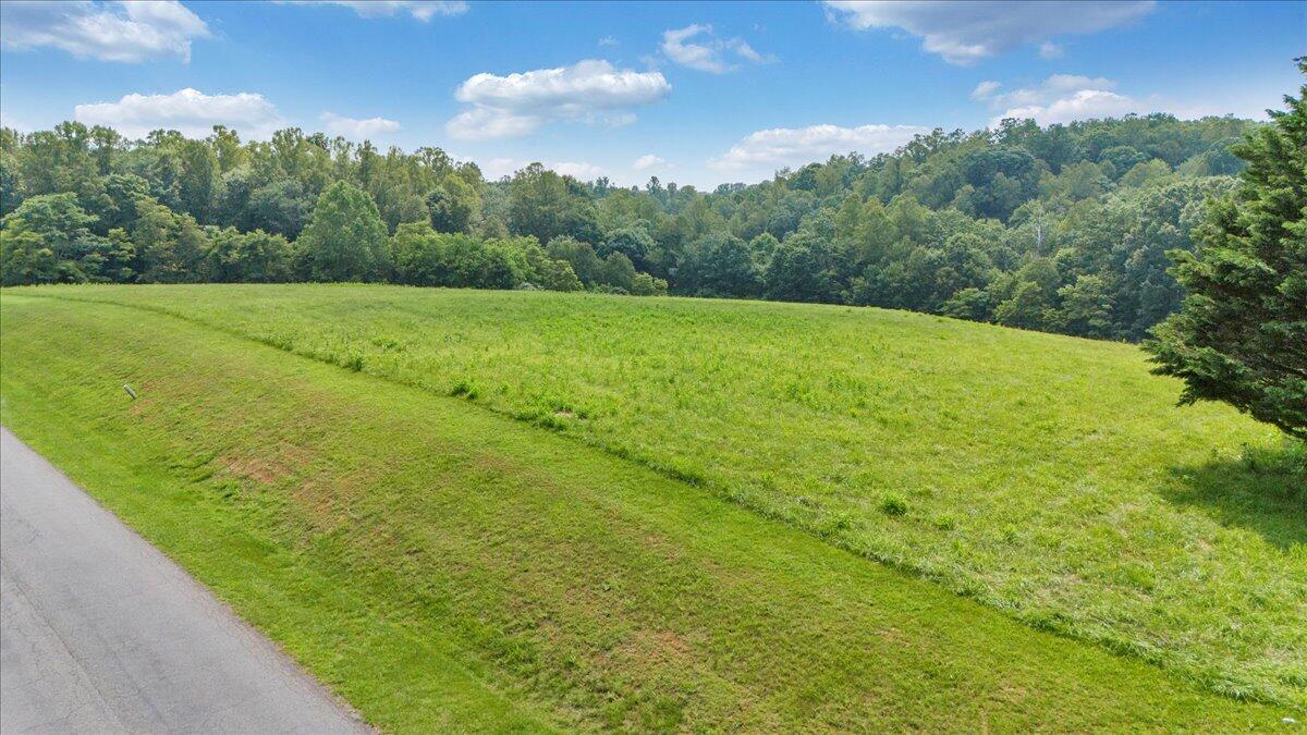 Lot 4-5 Idlewood Road Hardy, VA 24101 - Photo 17 of 65 a view of a green field with clear sky