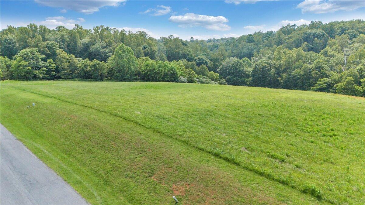 Lot 4-5 Idlewood Road Hardy, VA 24101 - Photo 21 of 65 a view of a green field with clear sky