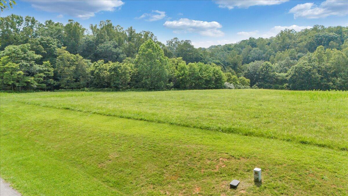 Lot 4-5 Idlewood Road Hardy, VA 24101 - Photo 23 of 65 a view of an ocean from a yard