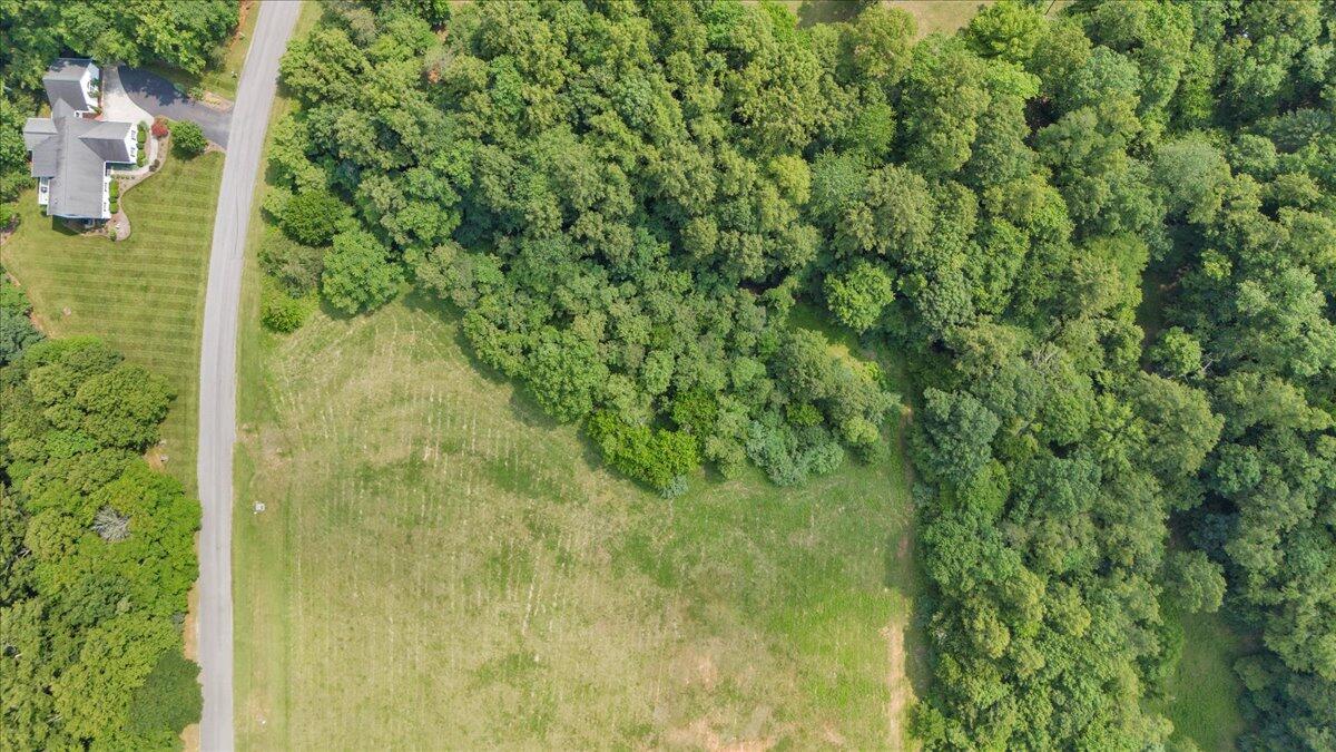 Lot 4-5 Idlewood Road Hardy, VA 24101 - Photo 33 of 65 33-DJI_20250611153406_0319_D