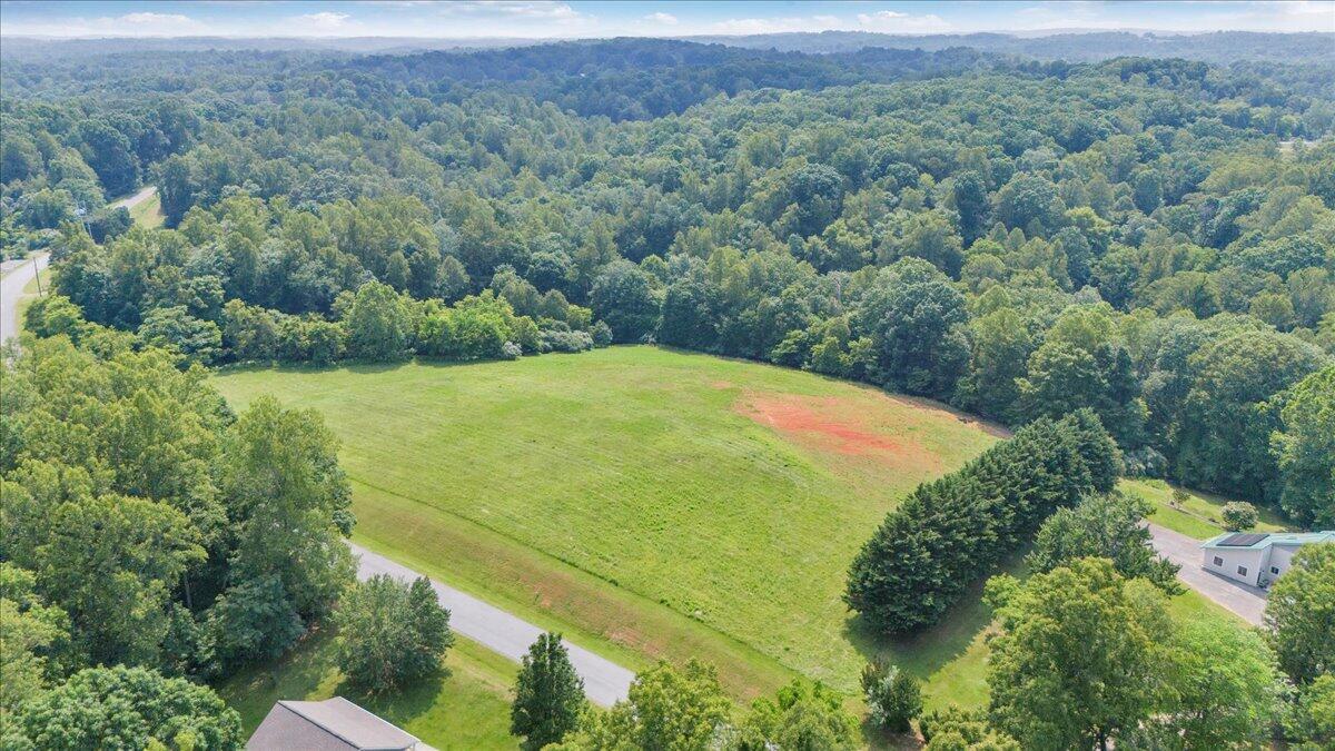 Lot 4-5 Idlewood Road Hardy, VA 24101 - Photo 46 of 65 a view of a field with an ocean view