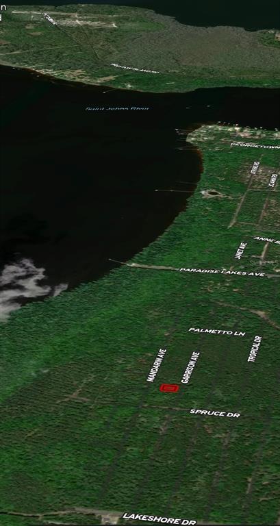 131 Garrison Avenue Georgetown, FL 32139 - Photo 2 of 4 a view of a golf course with a lake