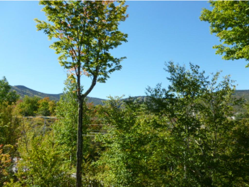 794 East Mountain Road, Unit G4 Killington, VT 05751 - Photo 10 of 10 Gallery Image 10