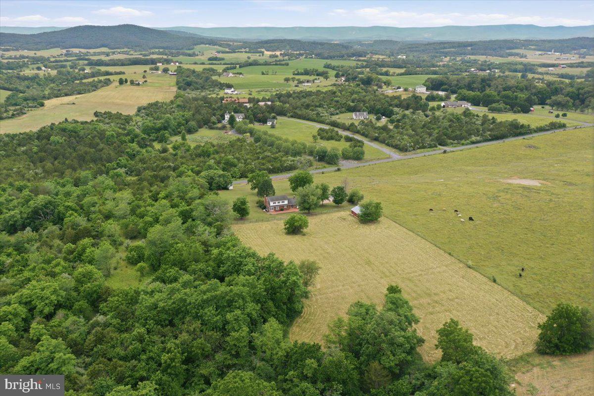 2447 Headquarters Road Edinburg, VA 22824 - Photo 50 of 58