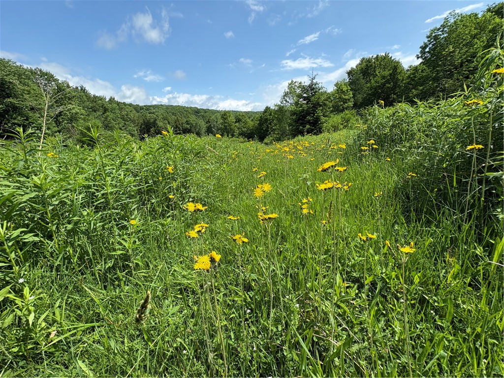 Stage Road South Otselic, NY 13155 - Photo 10 of 29