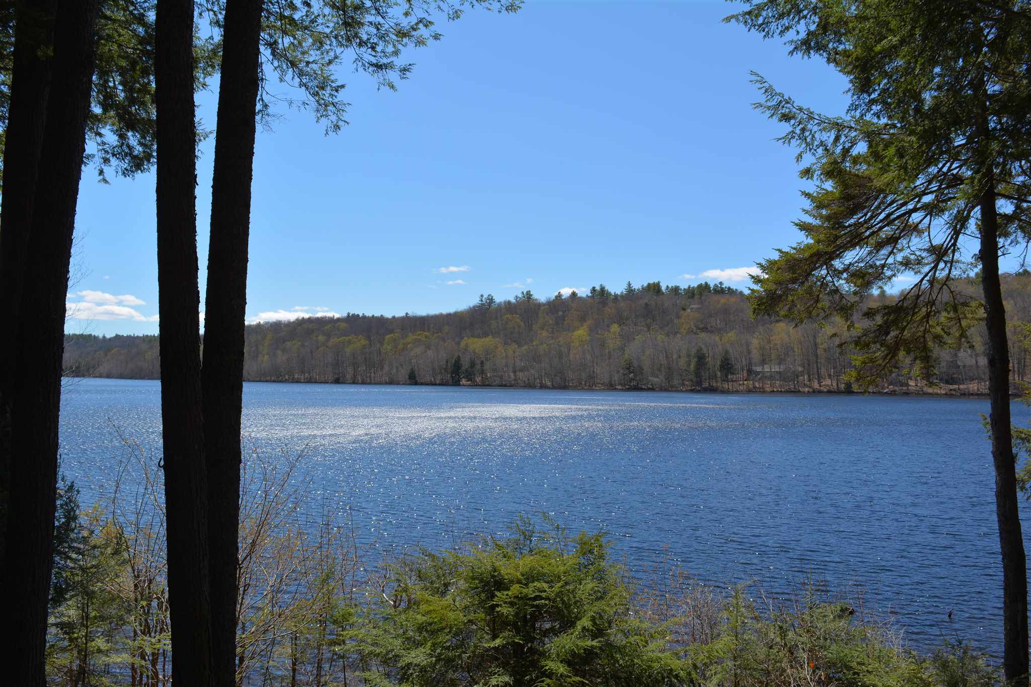 15 Sunset Walk Enfield, NH 03753 - Photo 56 of 57