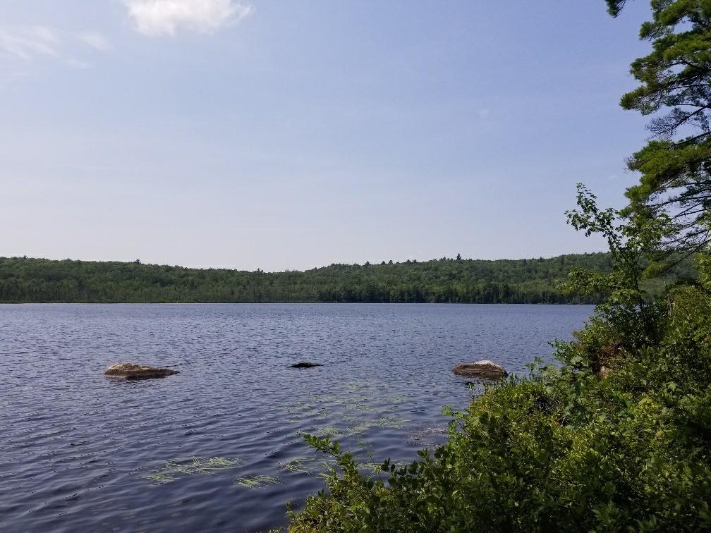 113 North Pond Road Chesterville, ME 04938 - Photo 11 of 35 20180806_133347_resized