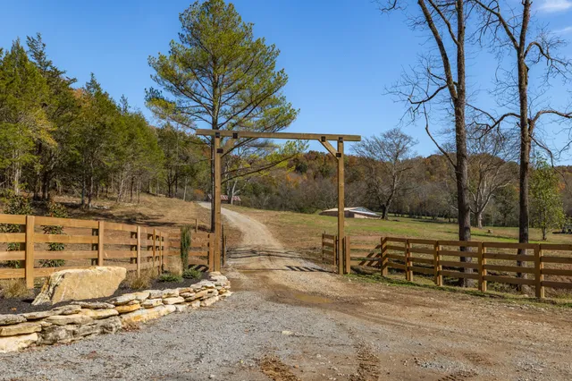 a view of a park with large trees