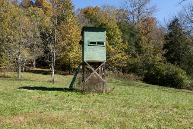 a backyard of a house with childrens swings and slides