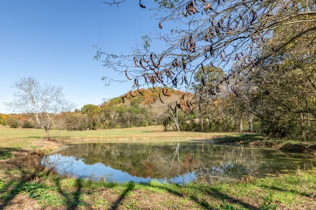 a view of lake with green space