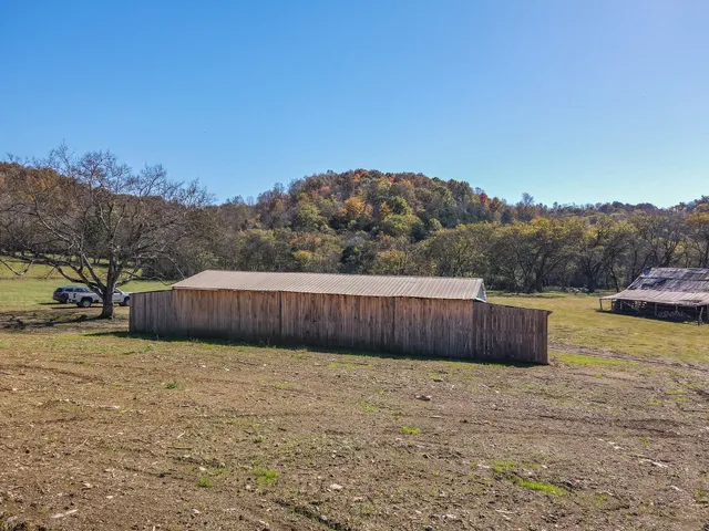a view of a backyard with a large tree
