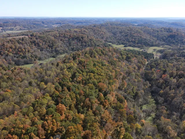 an aerial view of house with yard and mountain view in back