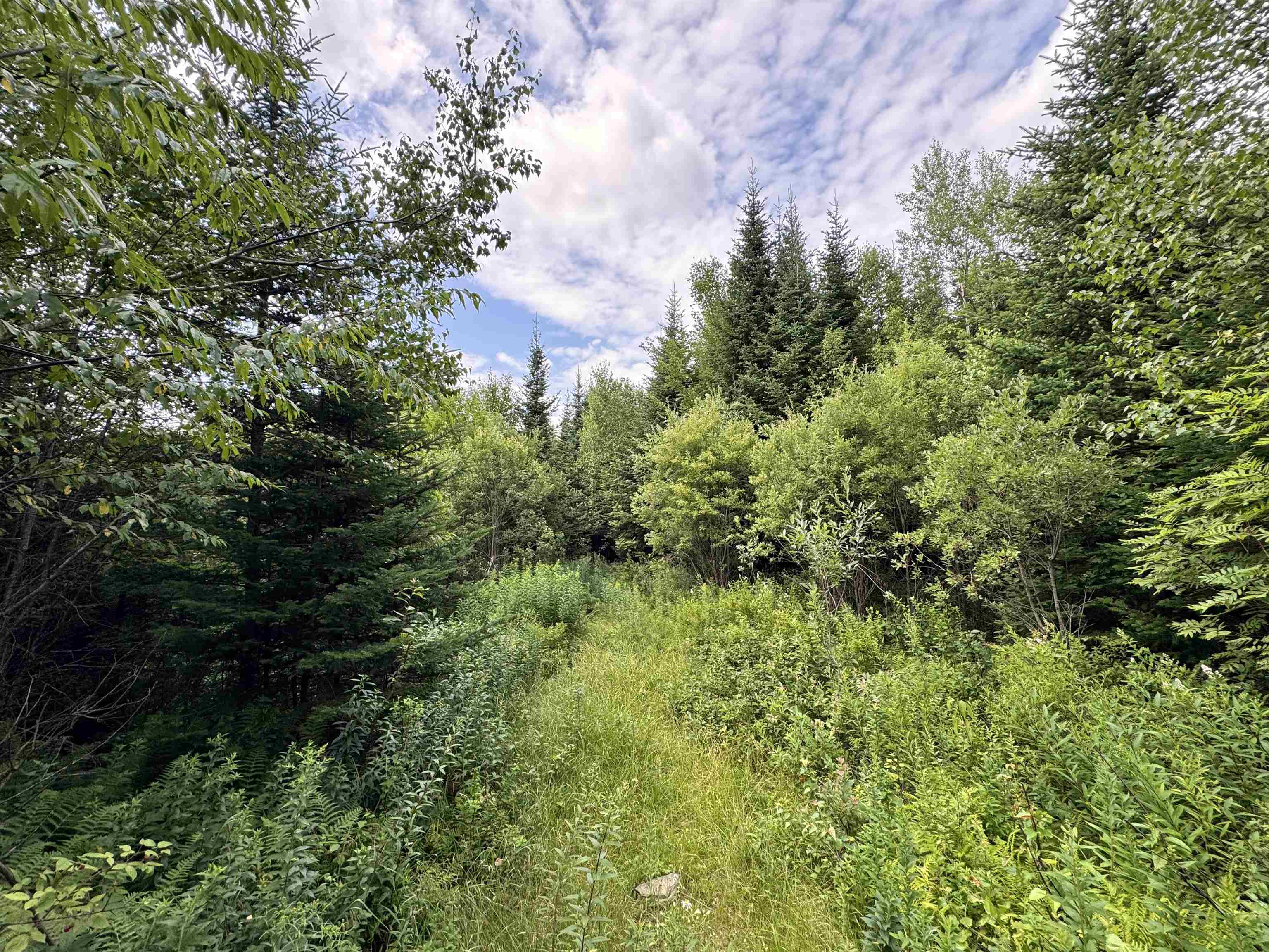 Lot 10 Quimby Road Stewartstown, NH 03576 - Photo 6 of 10 Gallery Image 6